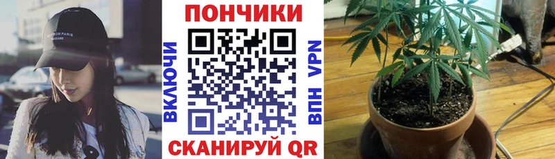Бошки марихуана THC 21%  Купить закладки  Котовск 